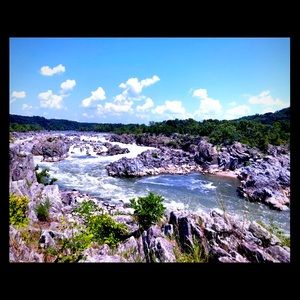 Meet your Posher,Emi!